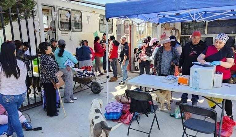 Quirófanos móviles llegan a Toluca para esterilizar mascotas. Foto: Especial