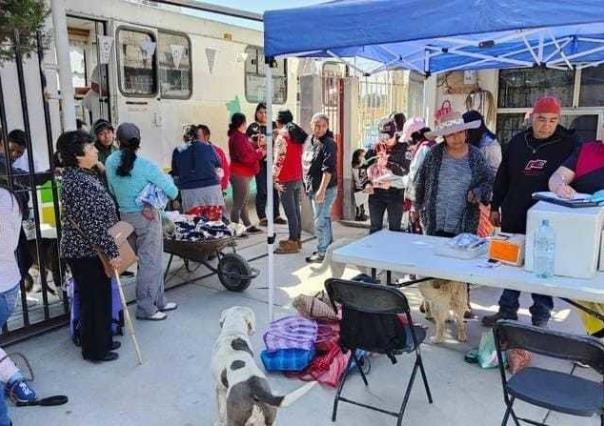 Quirófanos móviles llegan a Toluca para esterilizar mascotas