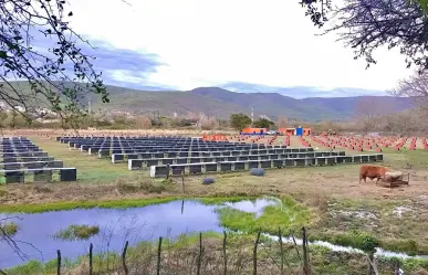 Las peleas de gallos en México: Una tradición arraigada en nuestra cultura