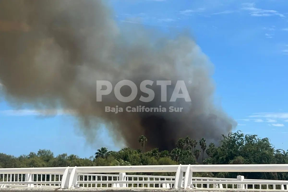 Moviliza incendio en estero de San José del Cabo a cuerpos de emergencia