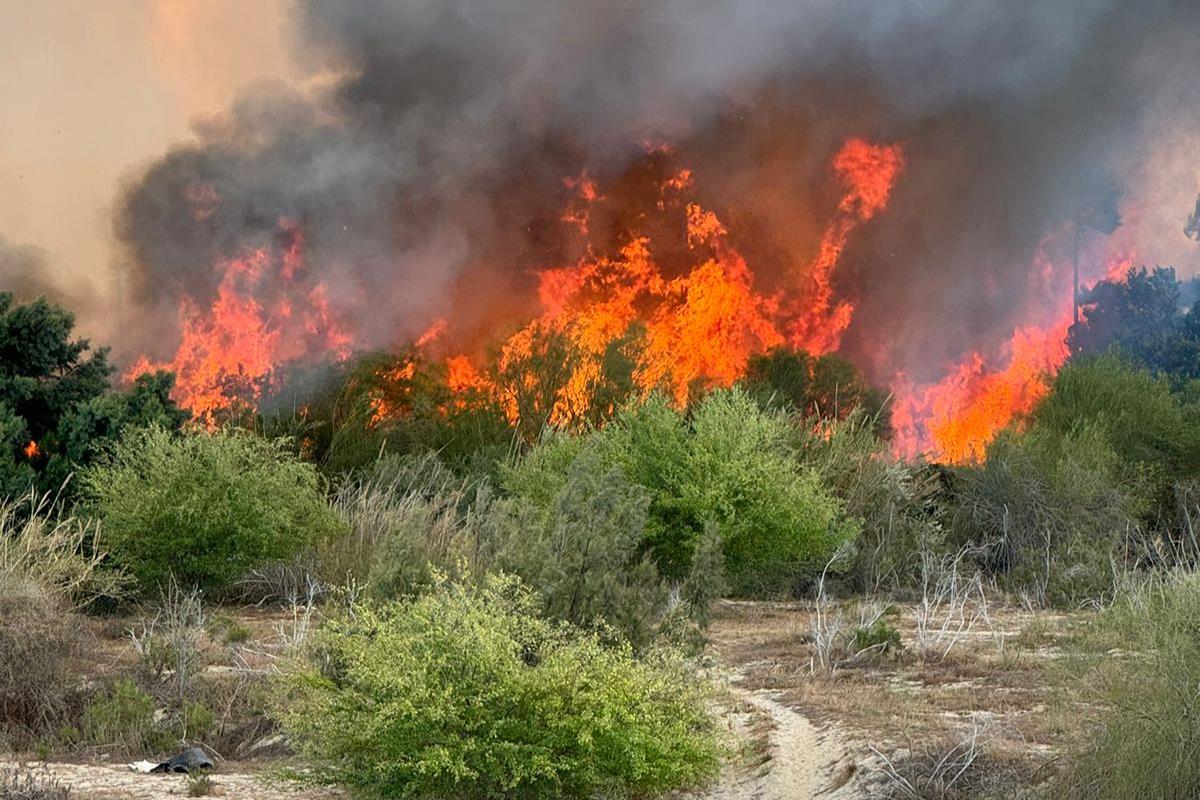 Mantén distancia del incendio en estero de San José del Cabo