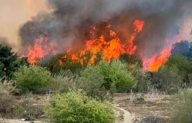 Mantén distancia del incendio en estero de San José del Cabo