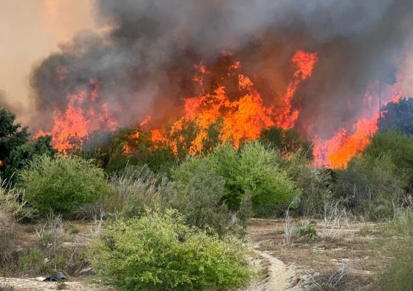 Mantén distancia del incendio en estero de San José del Cabo