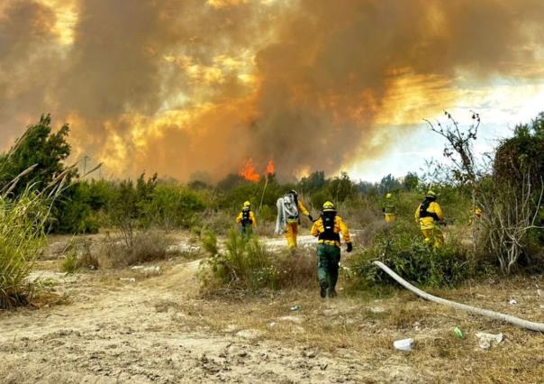 Consume incendio más de 30 hectáreas en estero de San José del Cabo