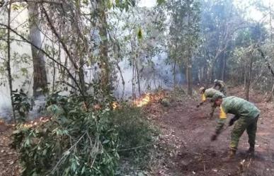 Logran apagar incendio forestal en Hidalgo, Tamaulipas