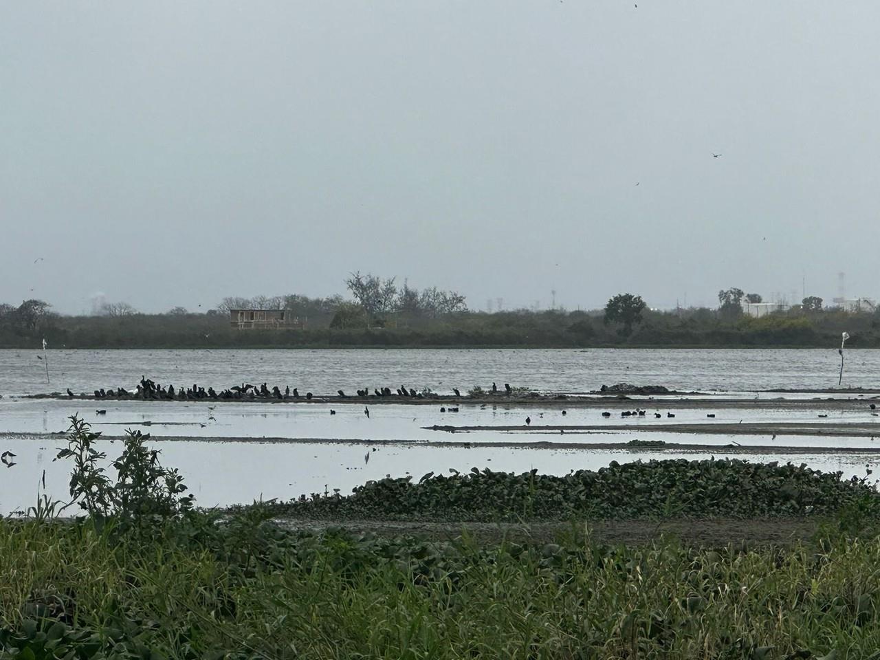 Laguna del Champayan se seca en el sur de Tamaulipas