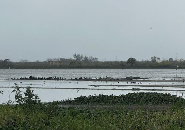 Laguna del Champayan se seca en el sur de Tamaulipas