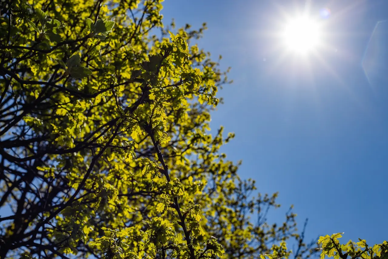 Además de su importancia cultural, el equinoccio de primavera también tiene implicaciones astronómicas y científicas significativas. (Fotografía: Freepik)