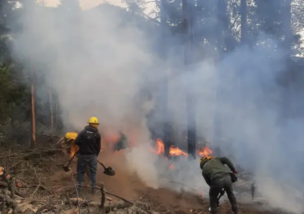 Logra Probosque contener incendios en Texcoco y Amecameca