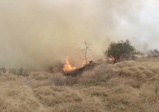 Controlan dos incendios de pastizales en Tlalnepantla