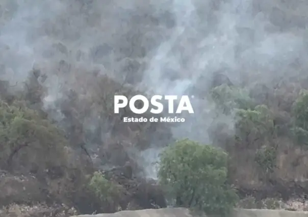 Fuego consume cerro de Las Peñitas en Atizapán (VIDEO)