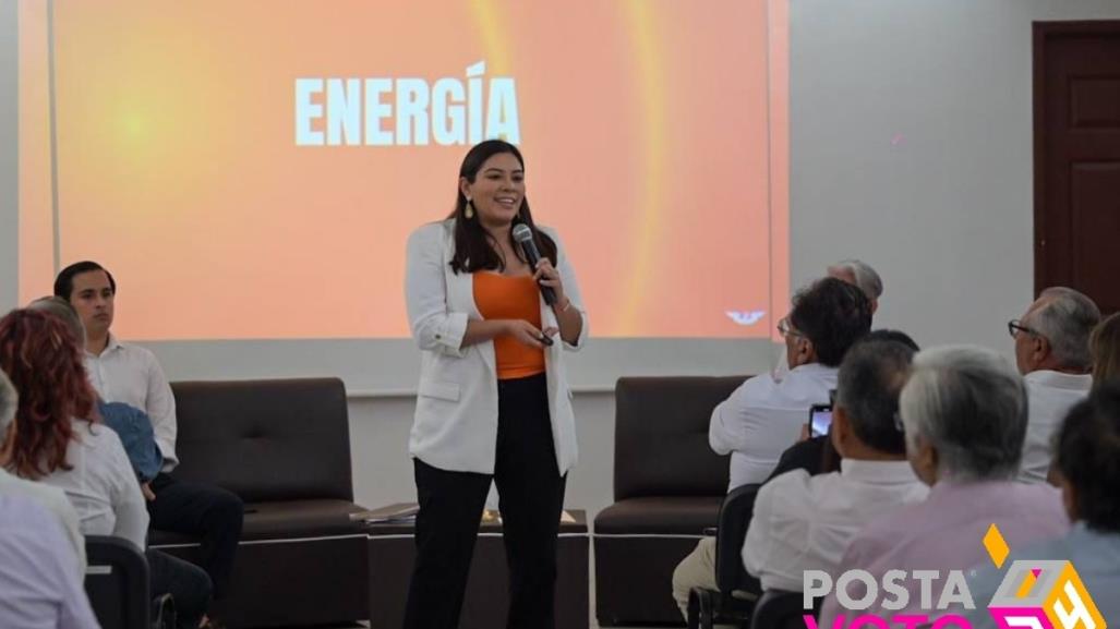 Impulsará Vida Gómez la creación de una Comisión de Energía en Yucatán