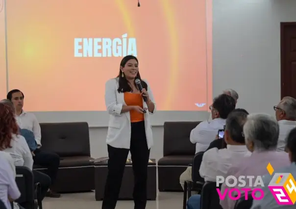 Impulsará Vida Gómez la creación de una Comisión de Energía en Yucatán