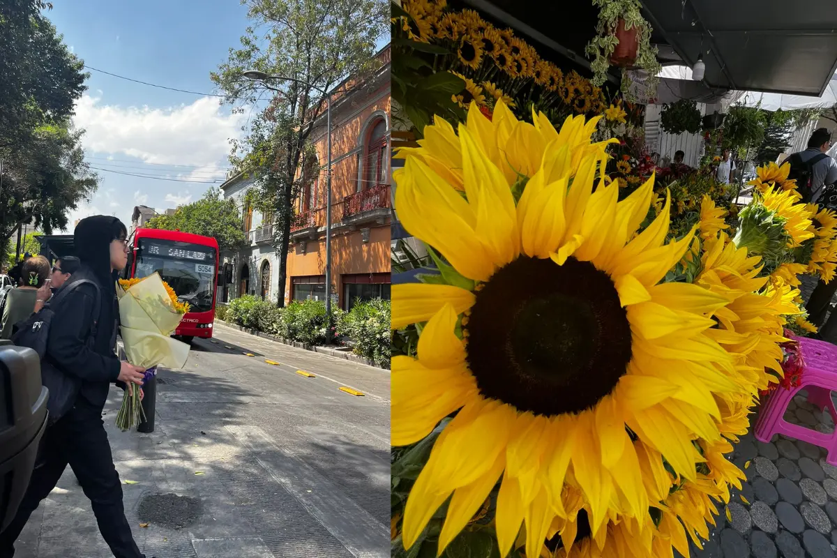 ¿Dónde comprar flores amarillas para regalar este 21 de marzo en CDMX?. Foto: Iván Macías