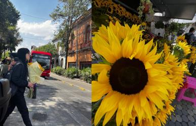 ¿Dónde comprar flores amarillas para regalar este 21 de marzo en CDMX?