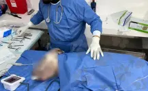Muere el perrito Randy, fue acuchillado en la colonia La Unidad de Escobedo