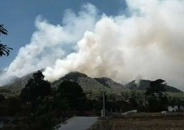 Mueren tres brigadistas en incendio forestal en Donato Guerra (VIDEO)