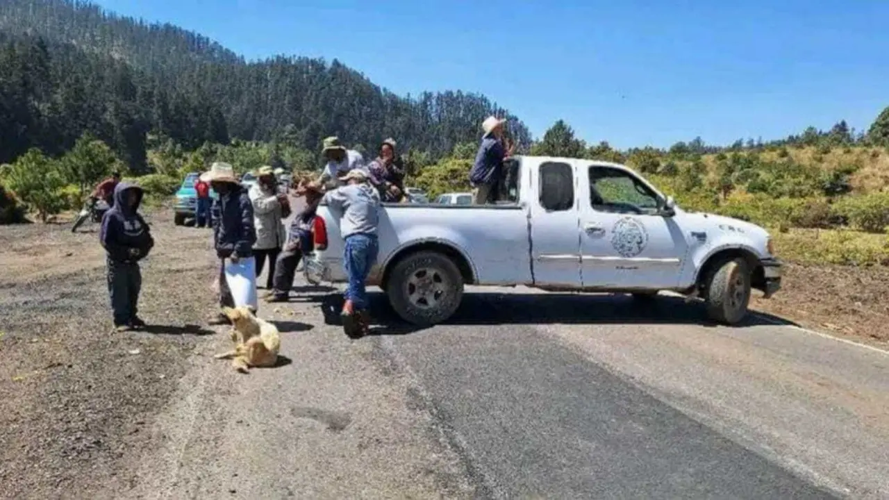 Los habitantes exigen que investiguen a los compradores de madera y que acaben con los aserraderos clandestinos. Foto: FB Dan Argumentos