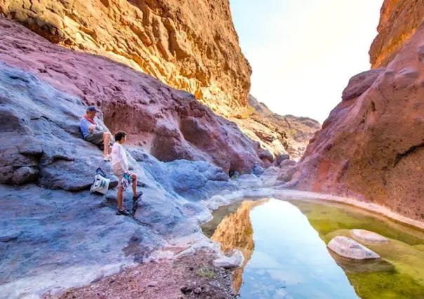 Descubre el Cañón de Tabor en Sierra la Giganta, Loreto: ¡hogar de gigantes!