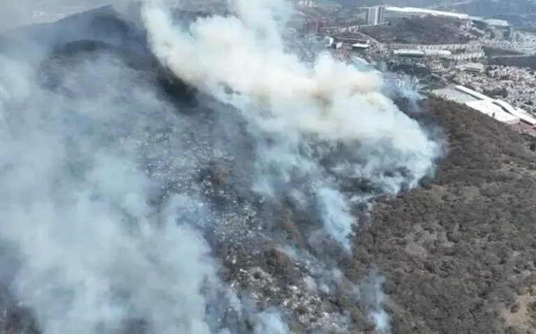 El fuego arrasó con 111 hectáreas de árboles y arbustos en el cerro de La Biznaga y el el Parque de Los Ciervos. Foto: Gob. de Atizapán