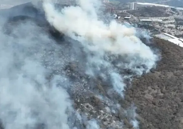 Controlan incendio forestal en Atizapán (VIDEO)