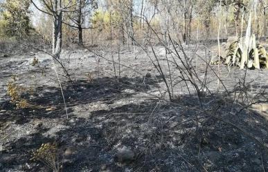 Incendios forestales destruyen el Parque Nacional de los Remedios