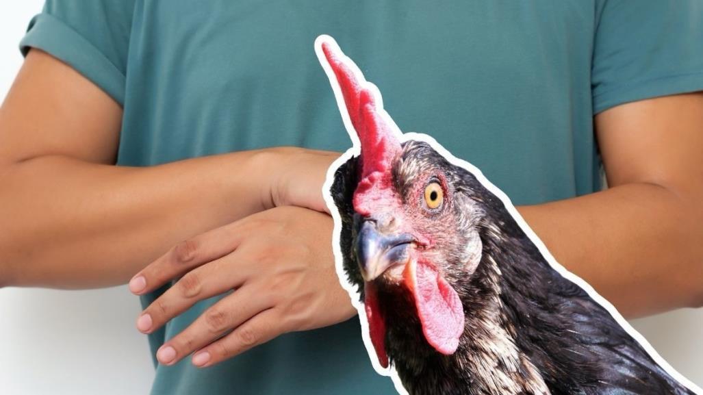 Confirma Tlaxcala vínculo entre pollo contaminado y Síndrome de Guillain-Barré