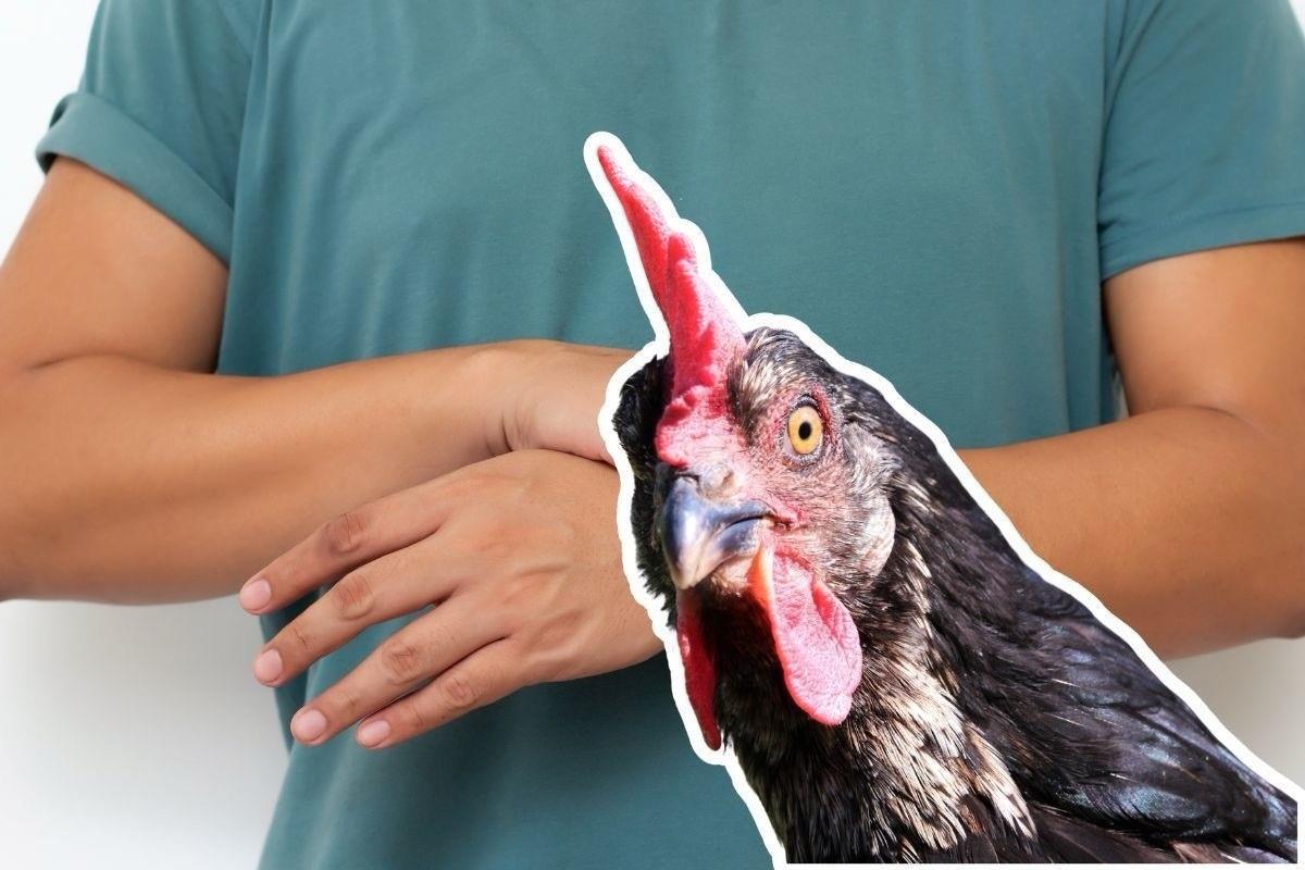 Confirman Tlaxcala vínculo entre pollo contaminado y Síndrome de Guillain-Barré. Foto: especial