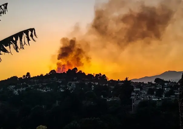 Incendio forestal en San Isidro Amola, paraje La Nopalera, en Ocuilan