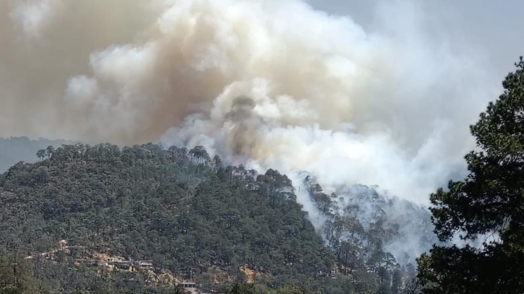 Incendio forestal en Mineral del Chico; autoridades intentan apagar las llamas