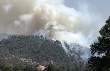 Incendio forestal en Mineral del Chico; autoridades intentan apagar las llamas