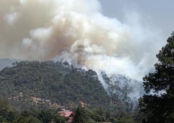 Incendio forestal en Mineral del Chico; autoridades intentan apagar las llamas