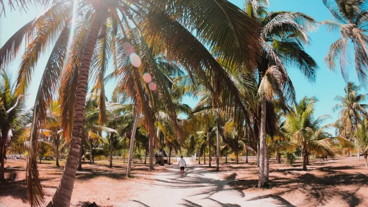 El puerto de San Crisanto ofrece actividades ecoturísticas para las personas que decidan visitarlo Foto: Archivo