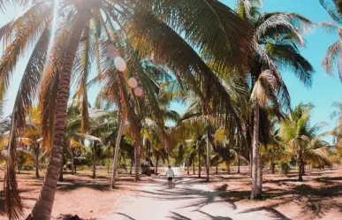 Conoce San Crisanto, el paraíso escondido en el Norte de Yucatán