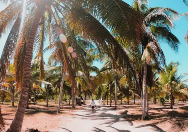 Conoce San Crisanto, el paraíso escondido en el Norte de Yucatán