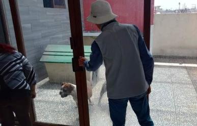 Tener una mascota en la azotea o amarrada en un baldío podría ser delito