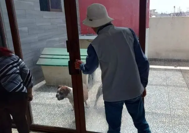 Tener una mascota en la azotea o amarrada en un baldío podría ser delito