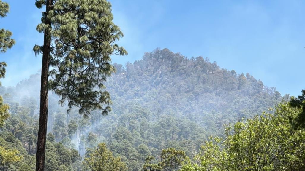 GEM reporta controlado el incendio forestal en Donato Guerra