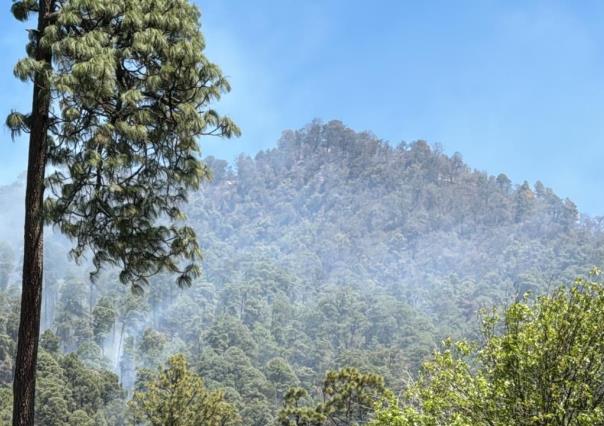 GEM reporta controlado el incendio forestal en Donato Guerra