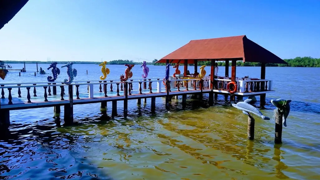 Viajando entre boas enormes, cocodrilos y pejelagartos en Tabasco