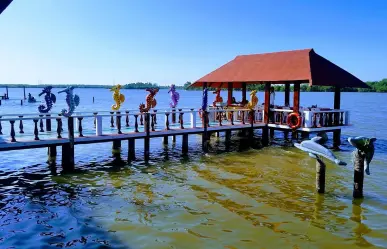 Viajando entre boas enormes, cocodrilos y pejelagartos en Tabasco