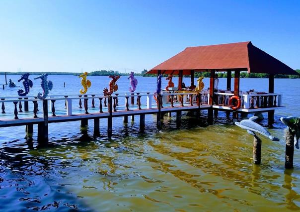 Viajando entre boas enormes, cocodrilos y pejelagartos en Tabasco