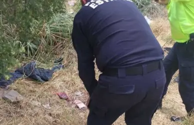 Abandonan a recién nacido entre la hierba en Metepec