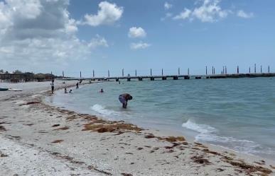 Inicia la semana mayor con calor extremo en Yucatán