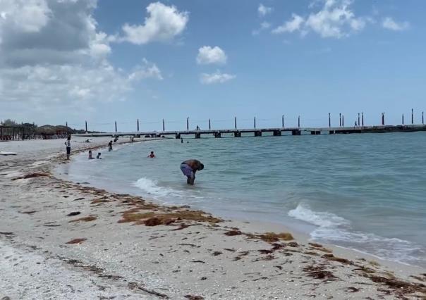 Inicia la semana mayor con calor extremo en Yucatán