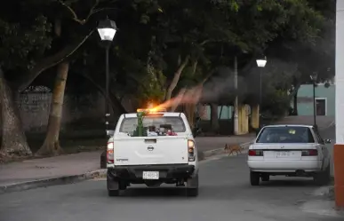 Continuarán las fumigaciones en Yucatán durante Semana Santa