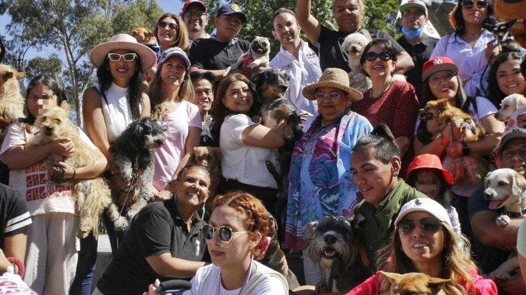 ¿Bienestar de los animales? Esto propone Clara Brugada para protegerlos