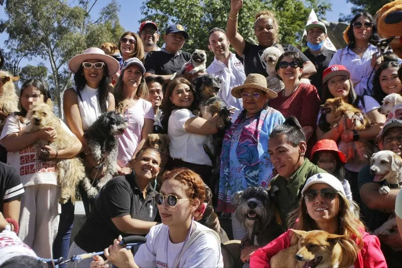 ¿Bienestar de los animales? Esto propone Clara Brugada para protegerlos