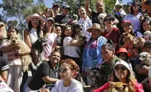 ¿Bienestar de los animales? Esto propone Clara Brugada para protegerlos