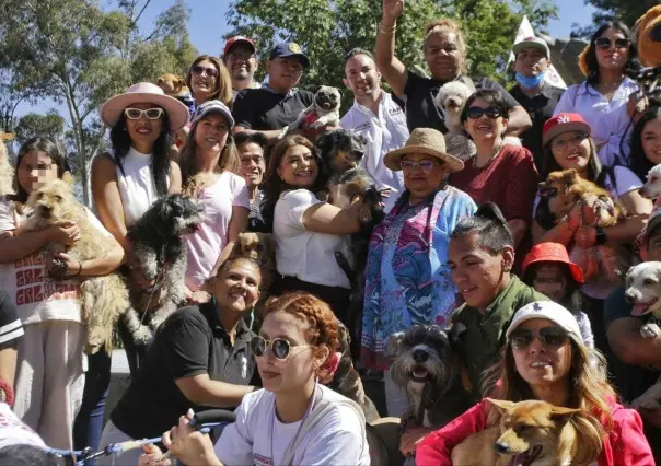 ¿Bienestar de los animales? Esto propone Clara Brugada para protegerlos